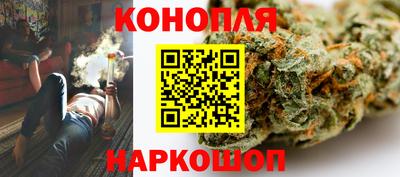 прущие крисы Шахты