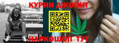 прущие крисы Шелехов