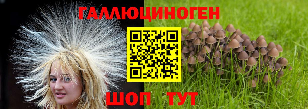 Галлюциногенные грибы Cubensis  Галлюциногенные грибы прущие грибы  Белогорск  Вход с VPN 